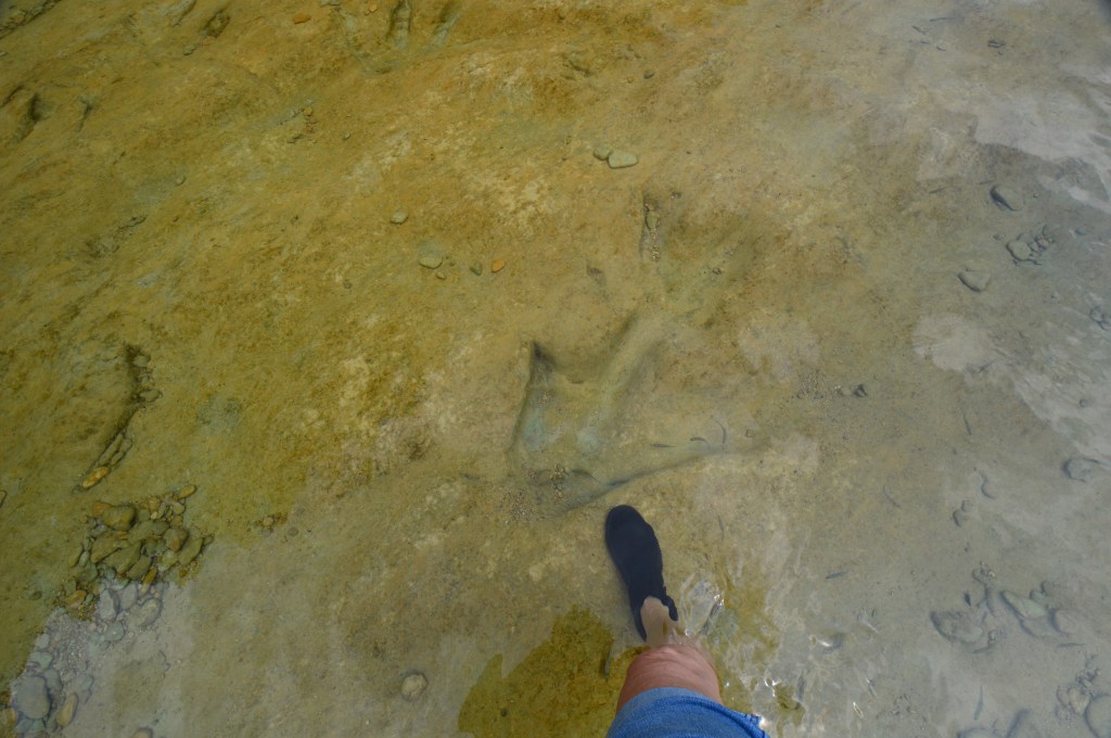 Standing in the Steps of Giants